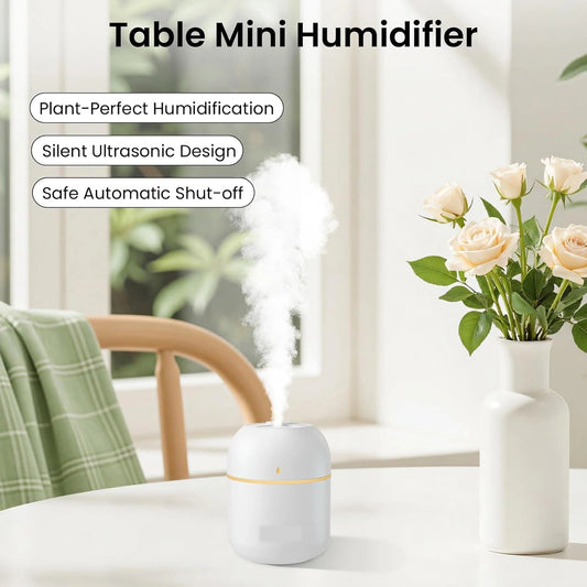 Portable Mini USB Humidifier with Night Light