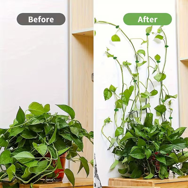🍃Self-Adhesive Leaf-Shaped Plant Support Clips