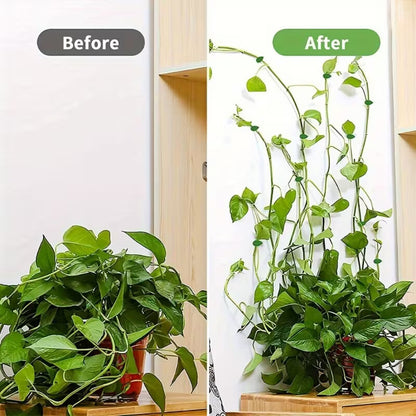 🍃Self-Adhesive Leaf-Shaped Plant Support Clips